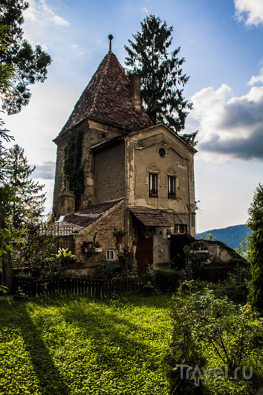 Трансильвания трип. Сигишоара / Фото из Румынии