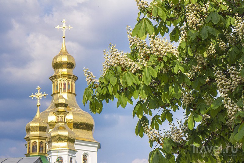 Киевские варенники. Путевые заметки и гастрономическое эссе / Фото с Украины