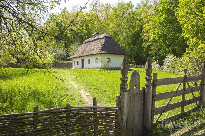 Киевские варенники. Путевые заметки и гастрономическое эссе / Фото с Украины