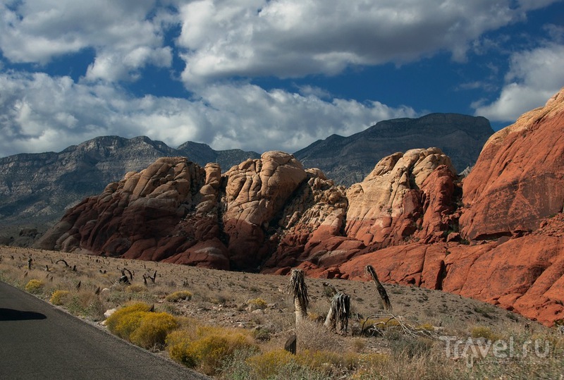 Каньон Красных Камней / Фото из США