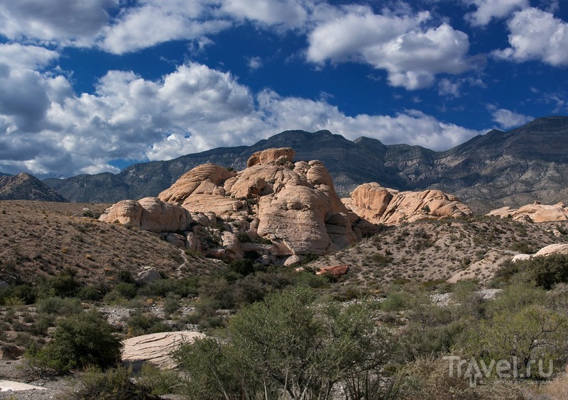 Каньон Красных Камней / Фото из США