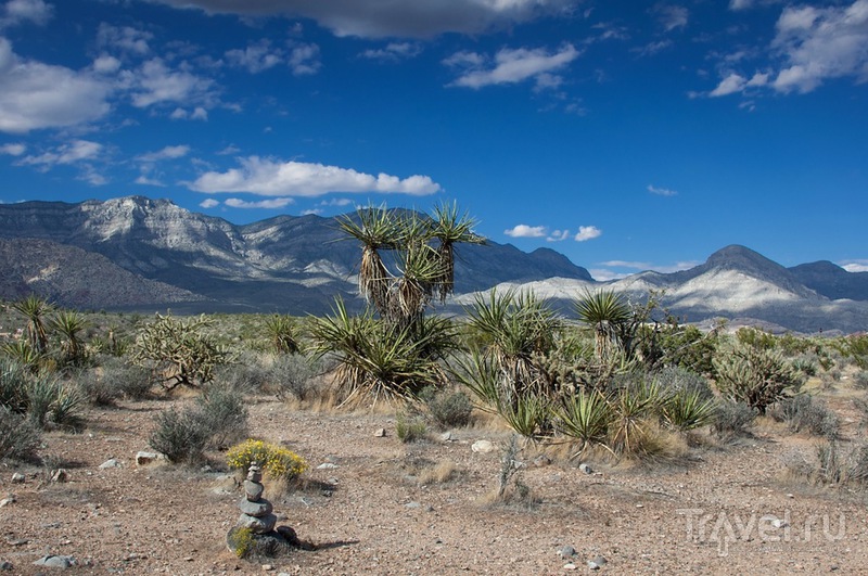Каньон Красных Камней / Фото из США