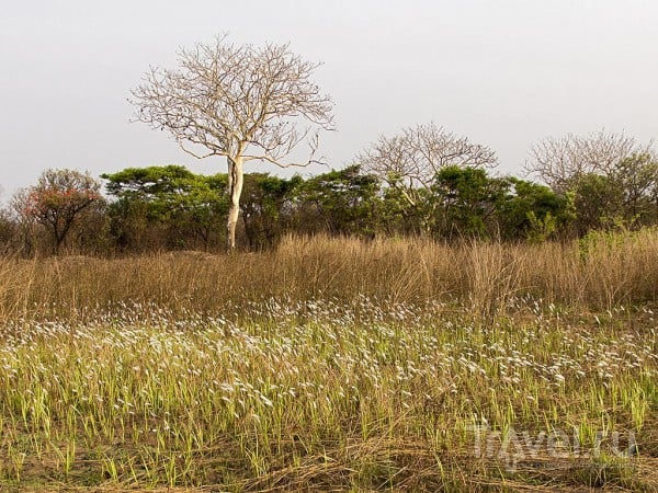 Ангола. Захоронения и синие птицы / Ангола