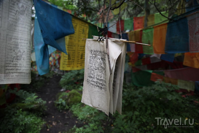На внедорожниках в Тибет. Лес Мертвых в Боми / Китай