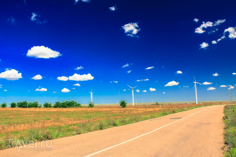 Комплекс Тарханкутской ветряной электростанции на полуострове Крым, Украина / Фото с Украины
