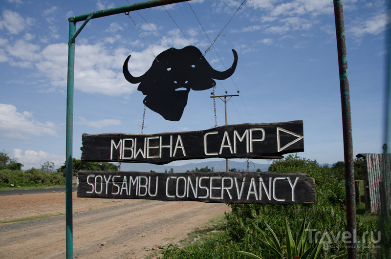 Национальный парк Накуру в несезон / Фото из Кении