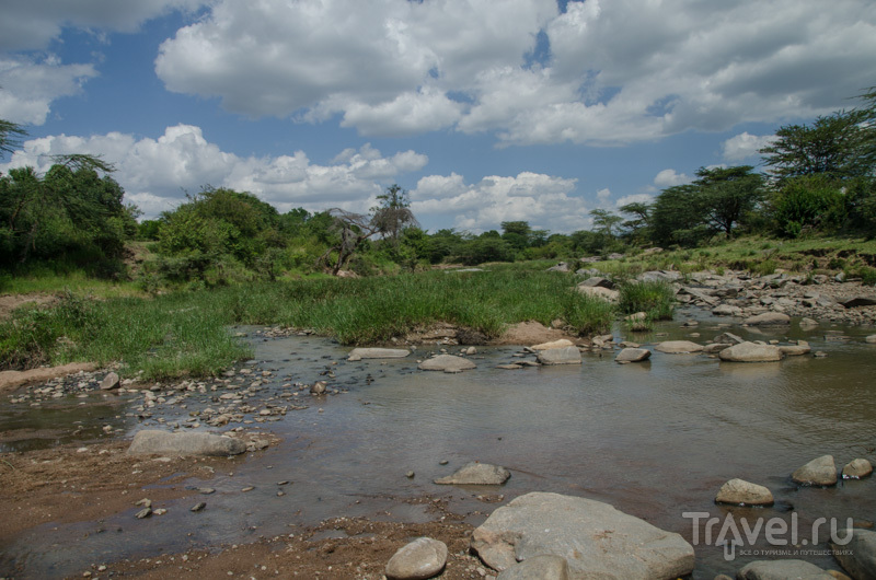 Национальный парк Масаи-Мара в мае / Фото из Кении