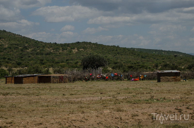 Деревня масаев в Кении / Фото из Кении