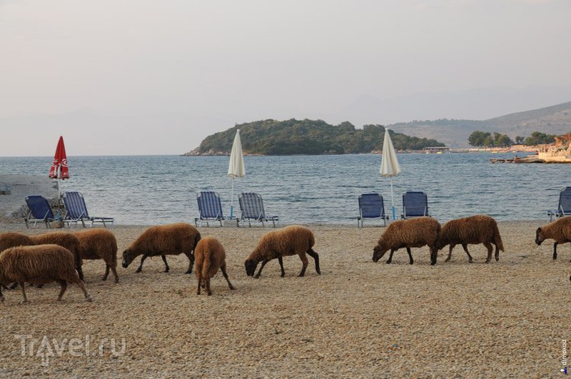Албания, природа и пляжи / Фото из Албании