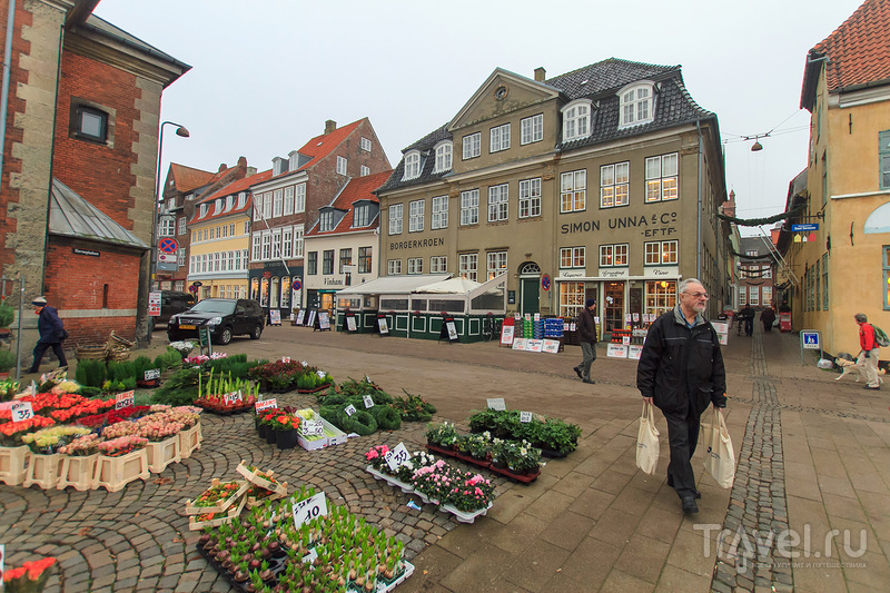 В городе Хельсингер, Дания / Фото из Дании