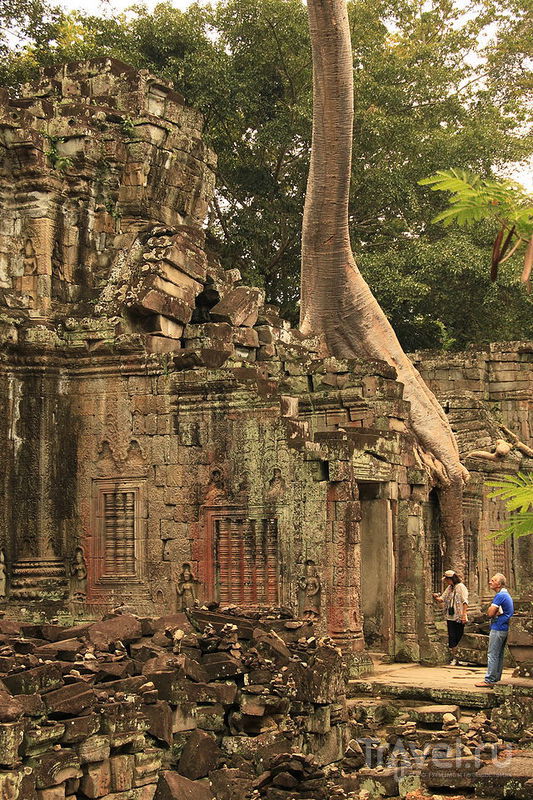 Храм Преа-Кхан, Камбоджа / Фото из Камбоджи