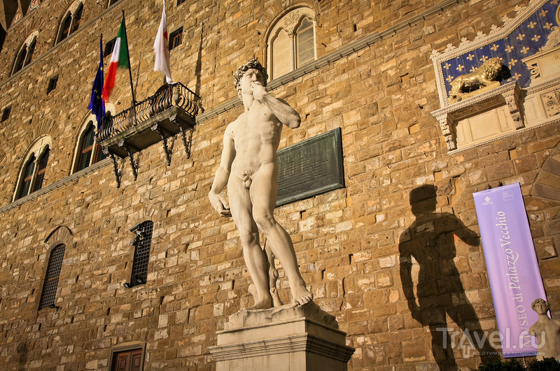 Статуя Давида на площади Синьории во Флоренции, Италия / Фото из Италии
