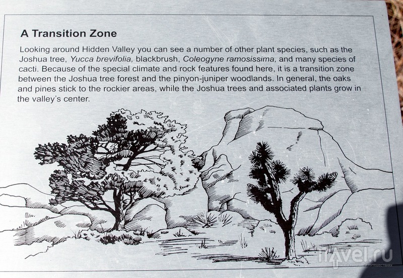 Парк "Джошуа-Три": Спрятанная долина / Фото из США