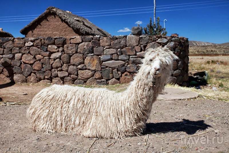Перу на майские праздники / Перу