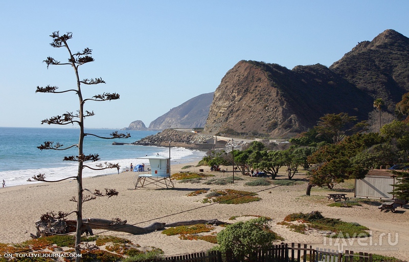 California coast /   