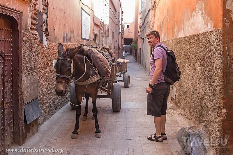 В городе Марракеш, Марокко / Фото из Марокко