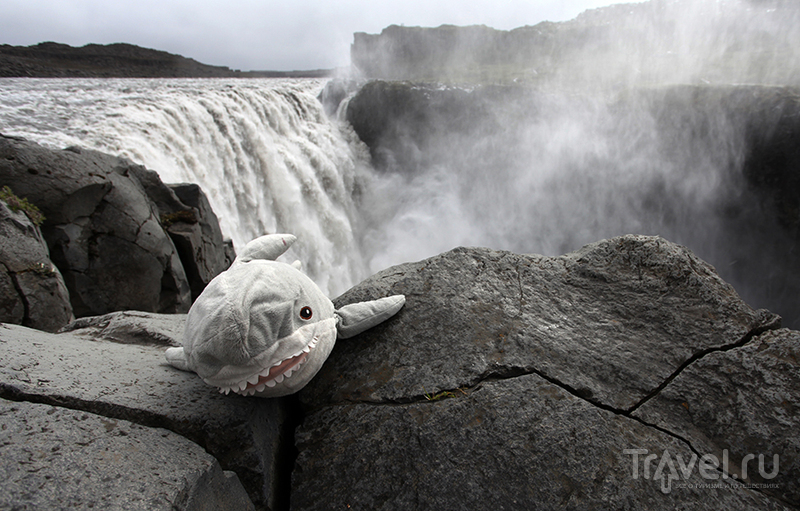 Водопад Dettifoss / Фото из Исландии