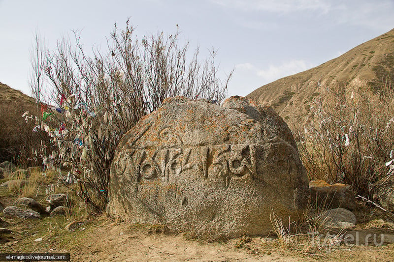 Тамга-Таш - буддистские камни на севере Киргизии / Фото из Киргизии