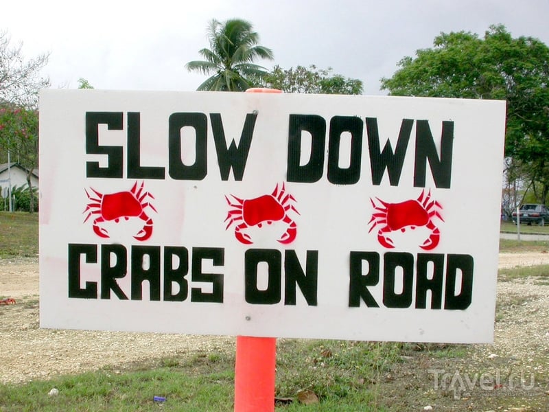 Дорожные знаки, сообщающие о миграции крабов, на австралийском острове Рождества / Австралия
