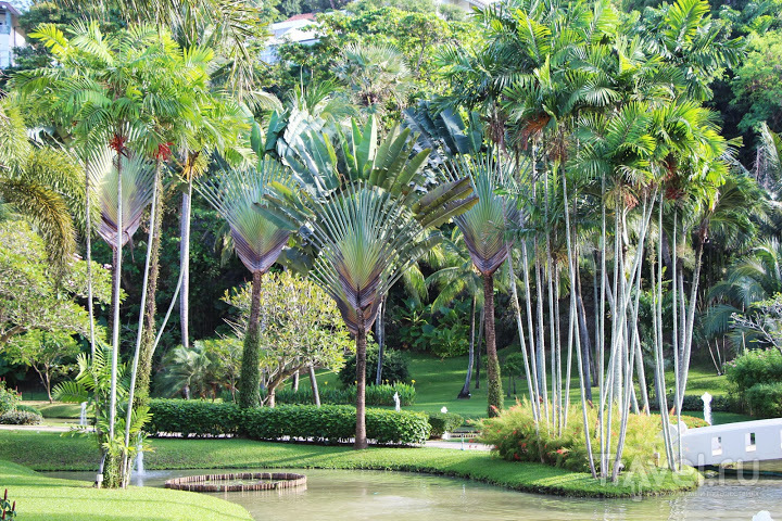 Phuket. Katathani Beach Resort / 