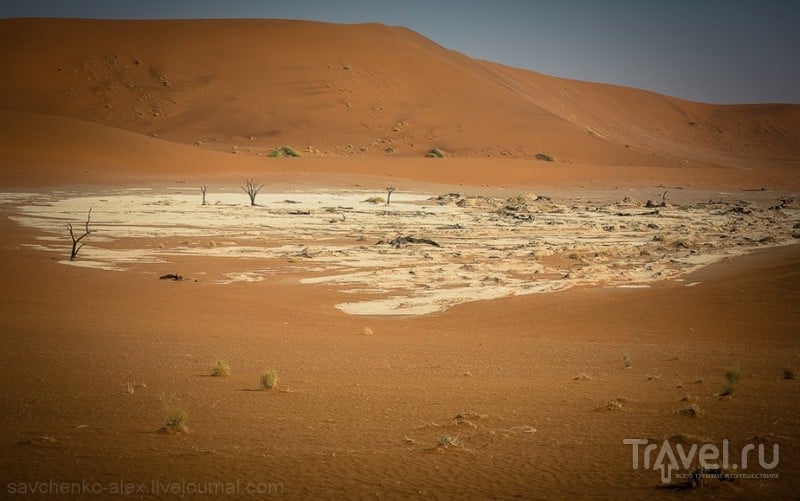 Пустыня Намиб - Соссуфлей / Фото из Намибии