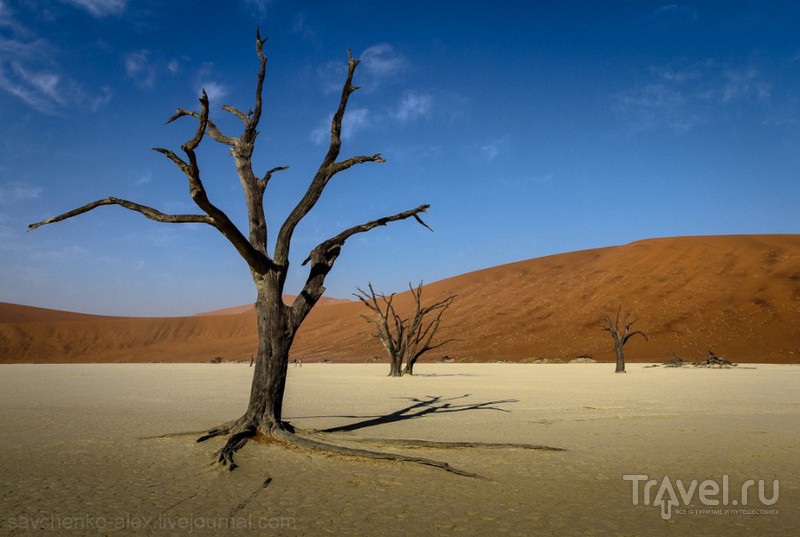 Пустыня Намиб - Соссуфлей / Фото из Намибии