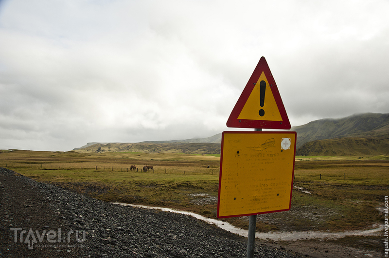 Черные пляжи Исландии и знакомство с местными дорогами не для всех / Фото из Исландии