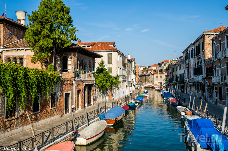 Венеция россыпью / Фото из Италии