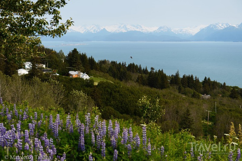 Аляска. Из Анкориджа в Хомер / Фото из США