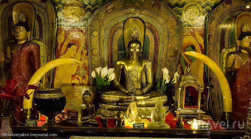 Последняя королевская столица и самая священная реликвия буддизма / Шри-Ланка