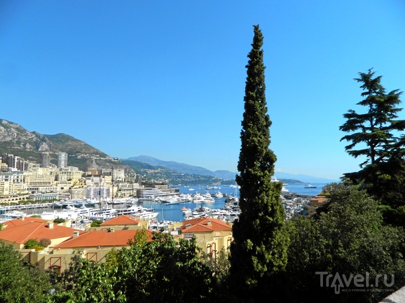 Монако-Вилль / Фото из Монако