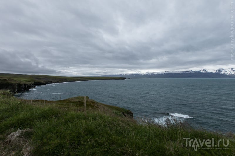 Путешествие в Исландию. Охота за китами, прогулка на лошадях и водопад Годафосс / Исландия