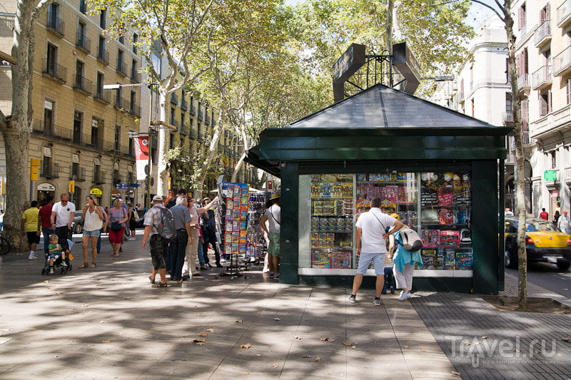 Испанские каникулы: прогулка по Барселоне / Фото из Испании