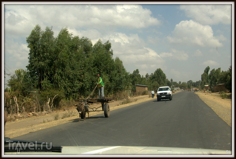 Wondo Genet - Goba /   