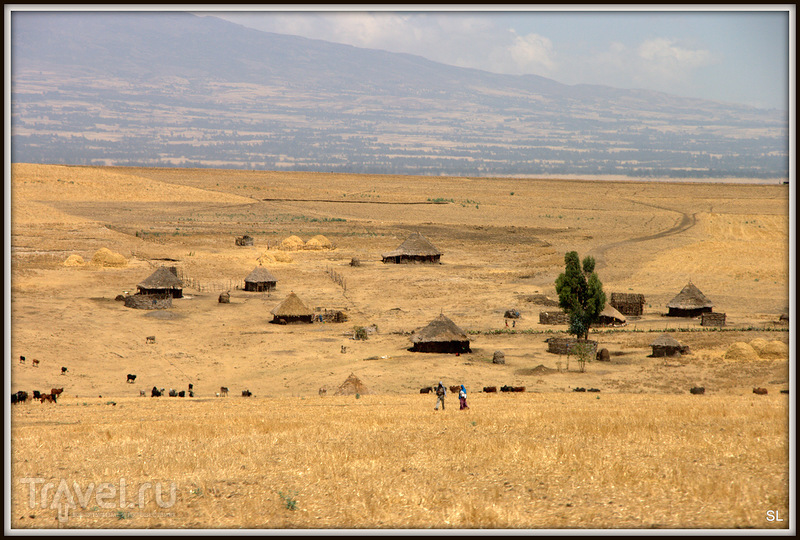 Wondo Genet - Goba / Фото из Эфиопии