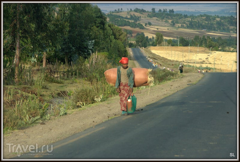 Wondo Genet - Goba / Фото из Эфиопии