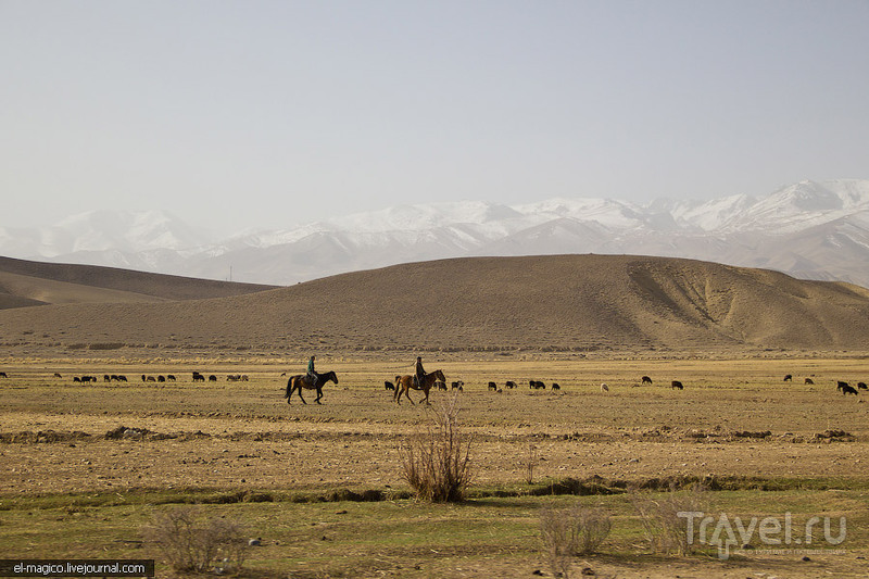 Древние кладбища, люди и знакомство с летучими мышами / Фото из Киргизии