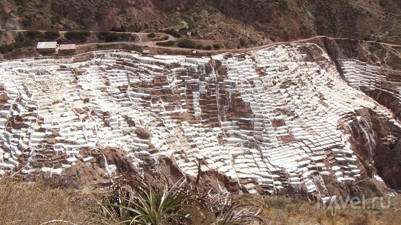 Террасы Морай, соляные копи Марас и Мачу-Пикчу / Боливия