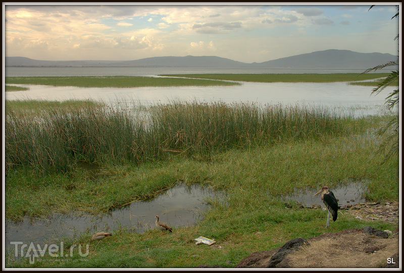 Озеро Аваш / Фото из Эфиопии