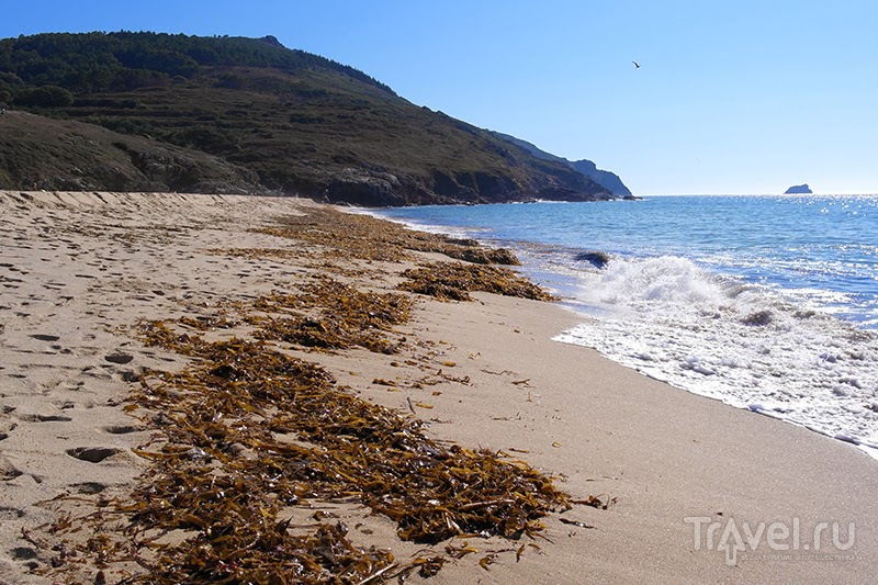 Camino de Santiago:         / 