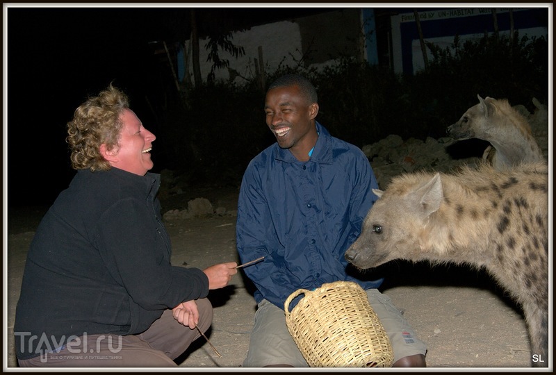 Кормление гиен. Харер, Эфиопия / Эфиопия