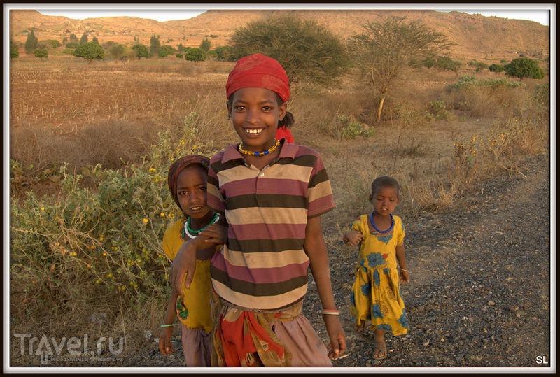 Заповедник Бабиле (Babile) / Фото из Эфиопии