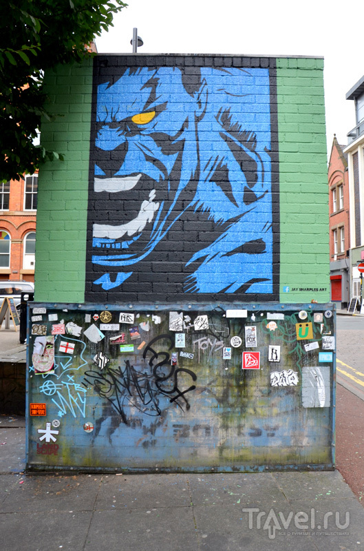 Внизу - защищенное пластиком граффити Бэнкси в Манчестере, Великобритания / Фото из Великобритании