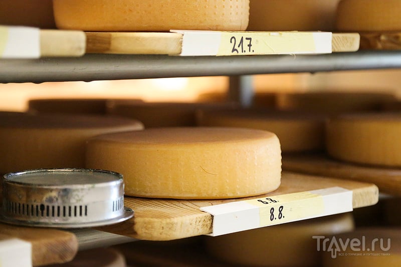 Как в Швейцарии делают сыр и варят пиво / Швейцария