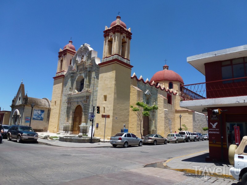 Оахака - город маленьких домов и больших кактусов / Мексика