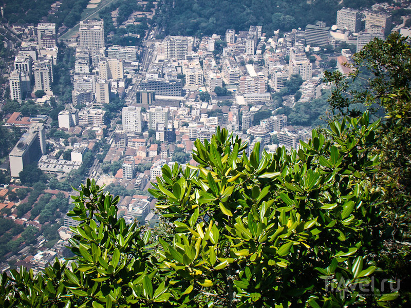 Бразилия. Рио-де-Жанейро / Фото из Бразилии