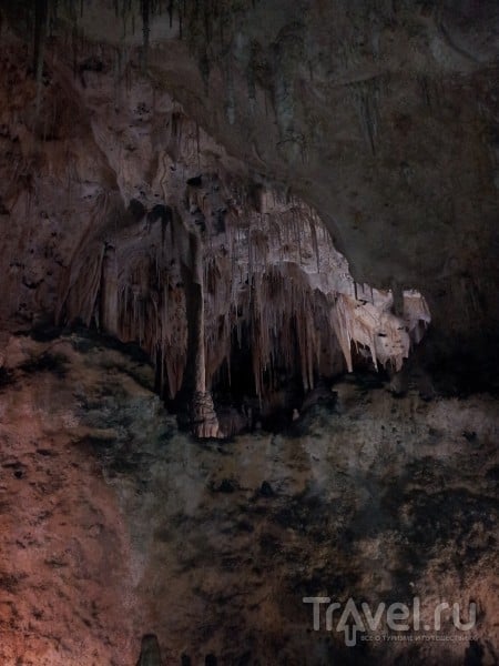 Carlsbad Caverns National Park, New Mexico / США