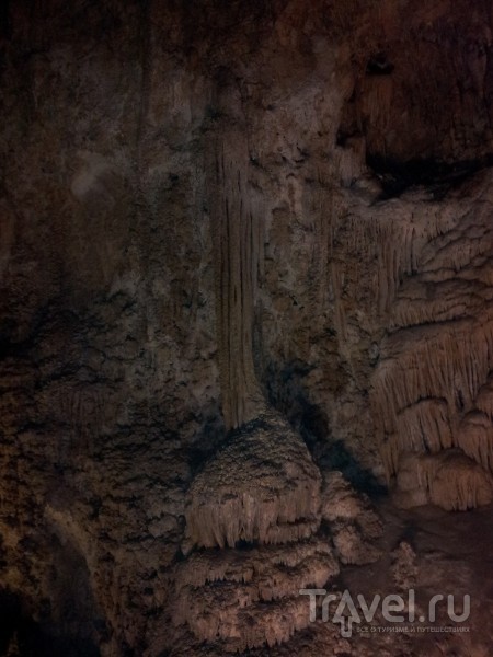 Carlsbad Caverns National Park, New Mexico / 