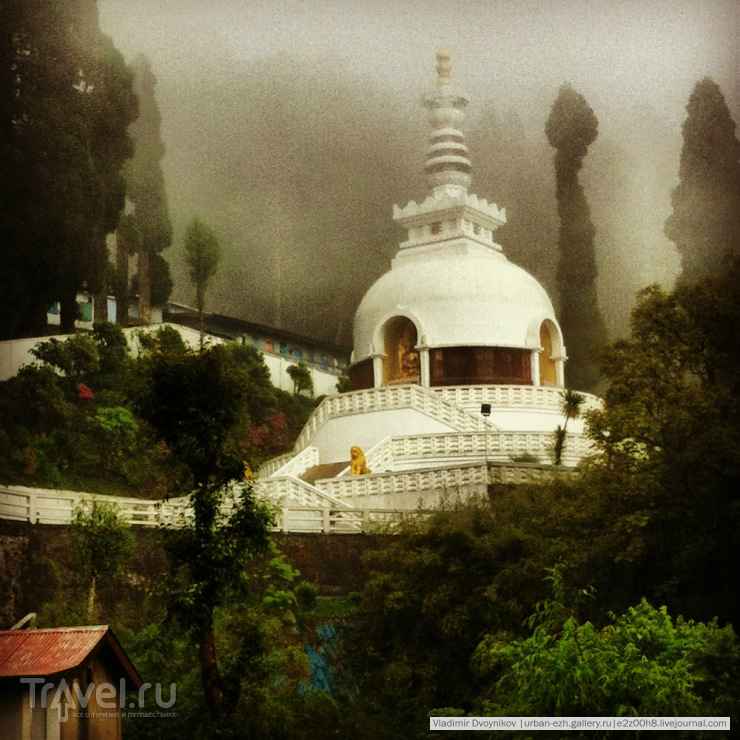 Darjeeling. Top 5 / 