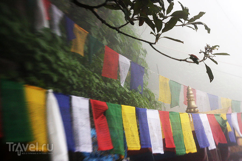 Darjeeling. Top 5 / Индия